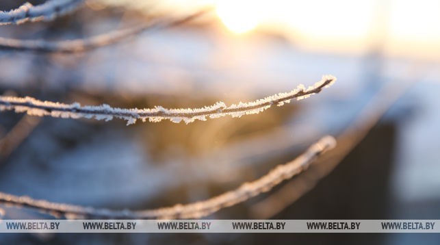 Морозы до 13 градусов ожидаются в Беларуси в выходные