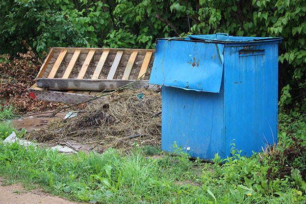 Как избавиться от крупногабаритного мусора? Комментарий Дрибинского УКП “Жилкомхоз”.