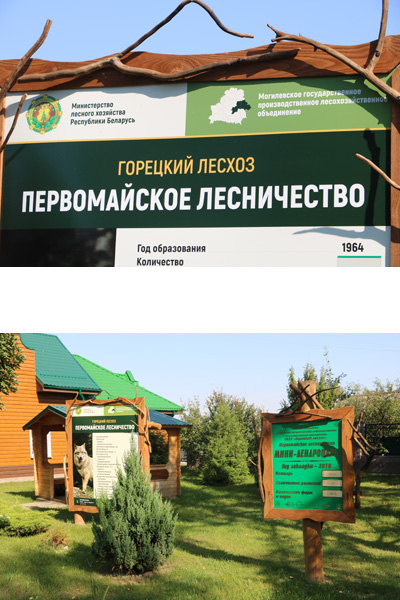 Лес — наше богатство и наше достояние