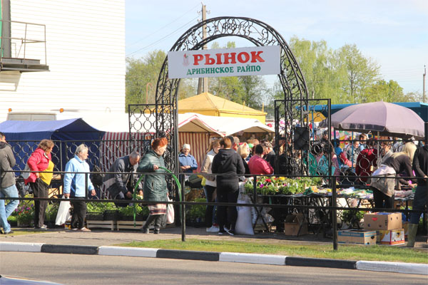 Временно приостанавливает работу рынок в г.п. Дрибин