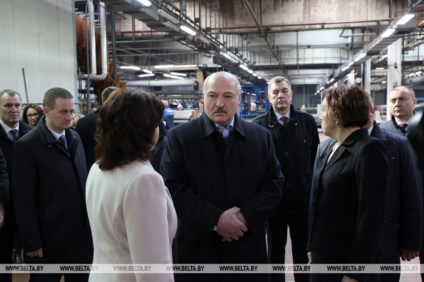 “Не загубить стратегическое направление экономики” – что Лукашенко ждет от работы кожевенного завода в Гатово