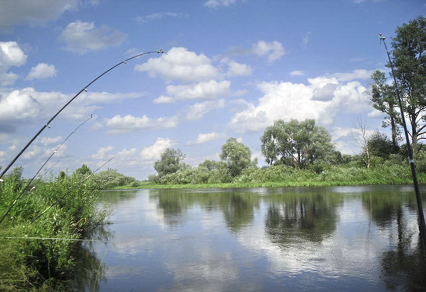 Белорусское общество охотников и рыболовов проводит конкурс к столетию