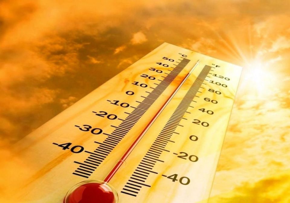 Как перенести жару без вреда для организма?