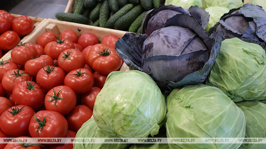 Экспорт белорусского продовольствия в этом году может превысить $6 млрд