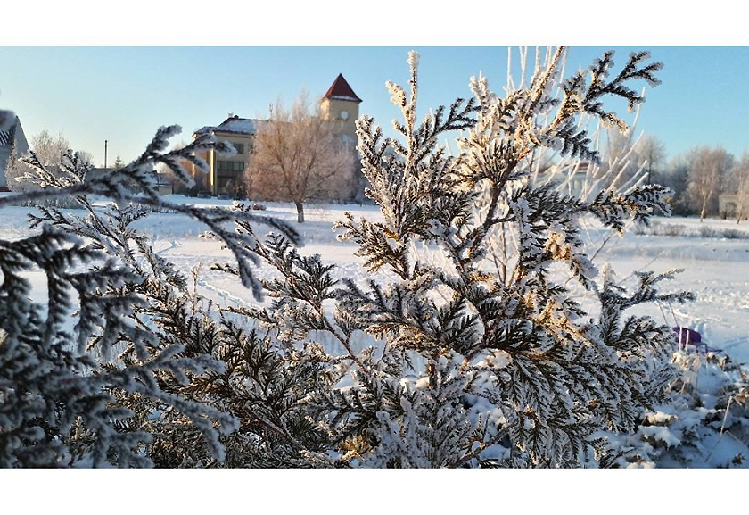 Оттепель ожидается в Беларуси на Новый год