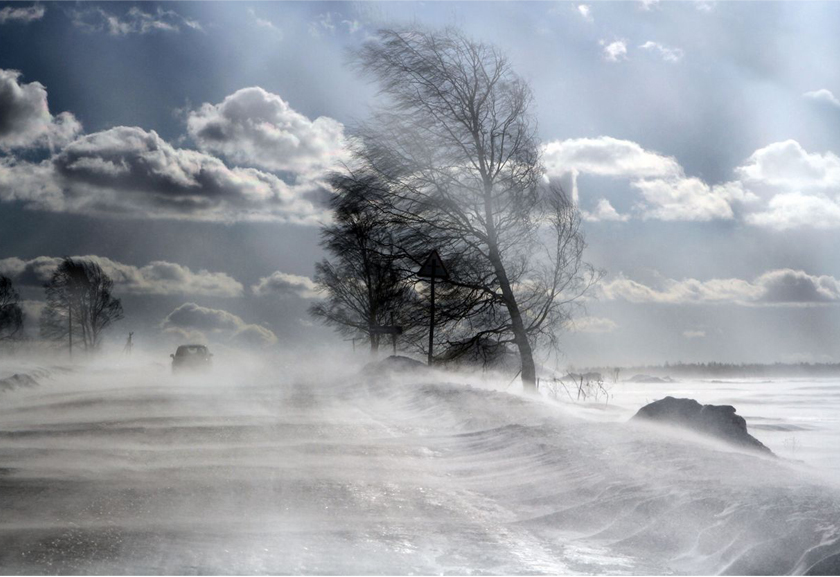 Оранжевый уровень опасности объявлен в Беларуси 20 января из-за сильного ветра
