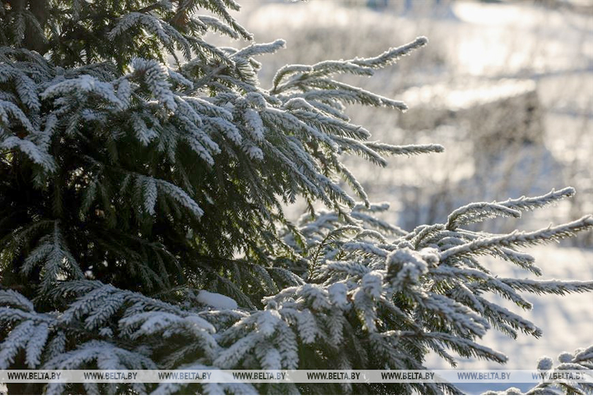 Мокрый снег и гололедица ожидаются в Беларуси на этой неделе