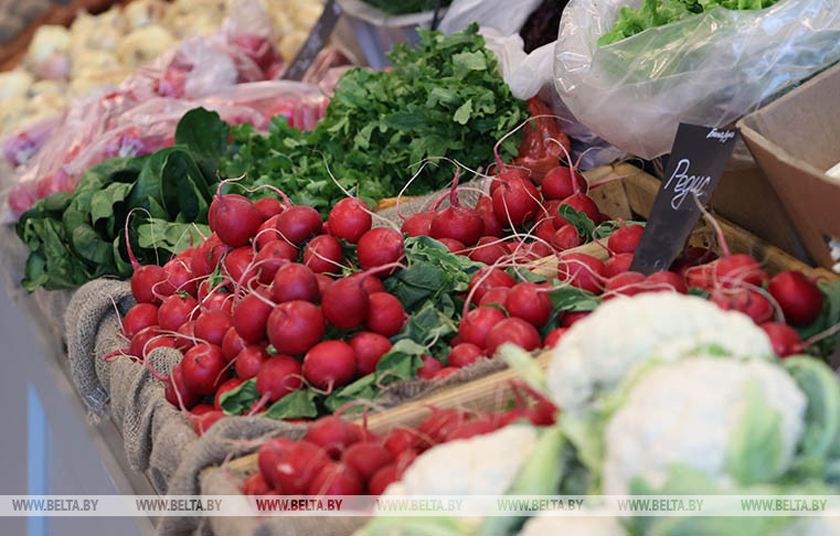 Богданов заявил о скором снижении цен на овощи