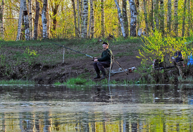 Весенняя рыбалка 2022: когда и какие трофеи можно добывать в Беларуси