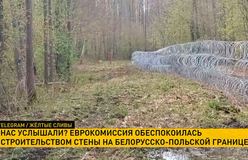 Еврокомиссия обеспокоилась строительством стены на границе с Беларусью