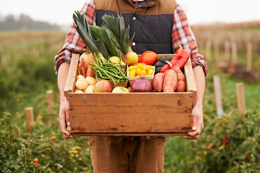 У вас есть излишки сельскохозяйственной продукции?