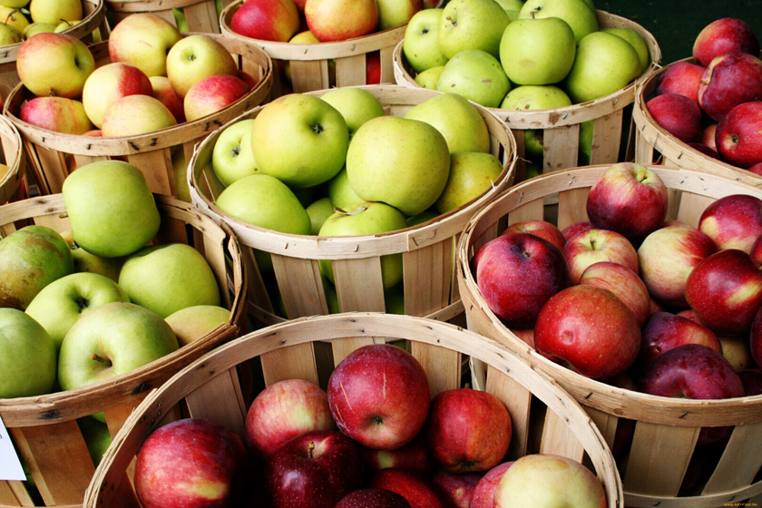 Уборка и хранение яблок