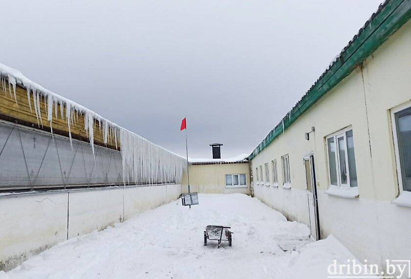 Дрибинский РОЧС провел мониторинг состояния кровель сельхозобъектов