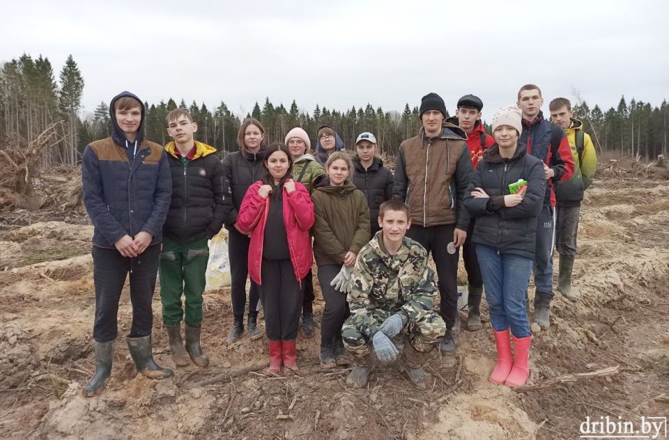 Жители Дрибинского района активно участвуют в акции «Неделя леса — 2023»
