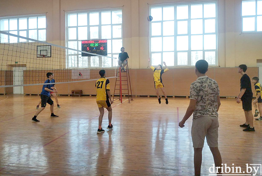 Дрибинские волейболисты достойно выступили в области
