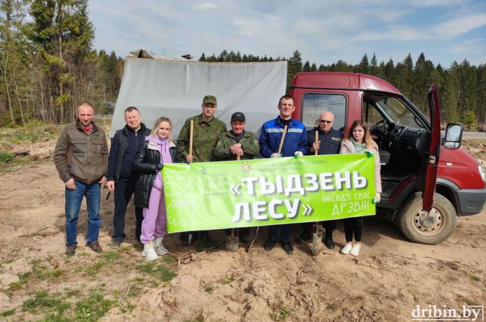 Вклад сотрудников прокуратуры Дрибинского района и РОСК в озеленение страны