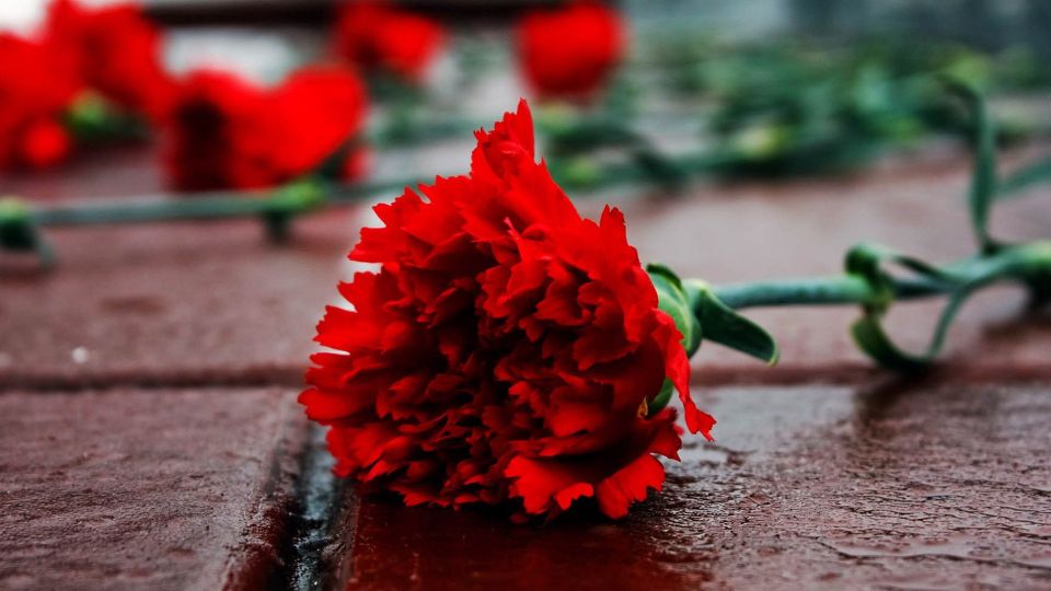 22 июня — День всенародной памяти жертв Великой Отечественной войны и геноцида белорусского народа