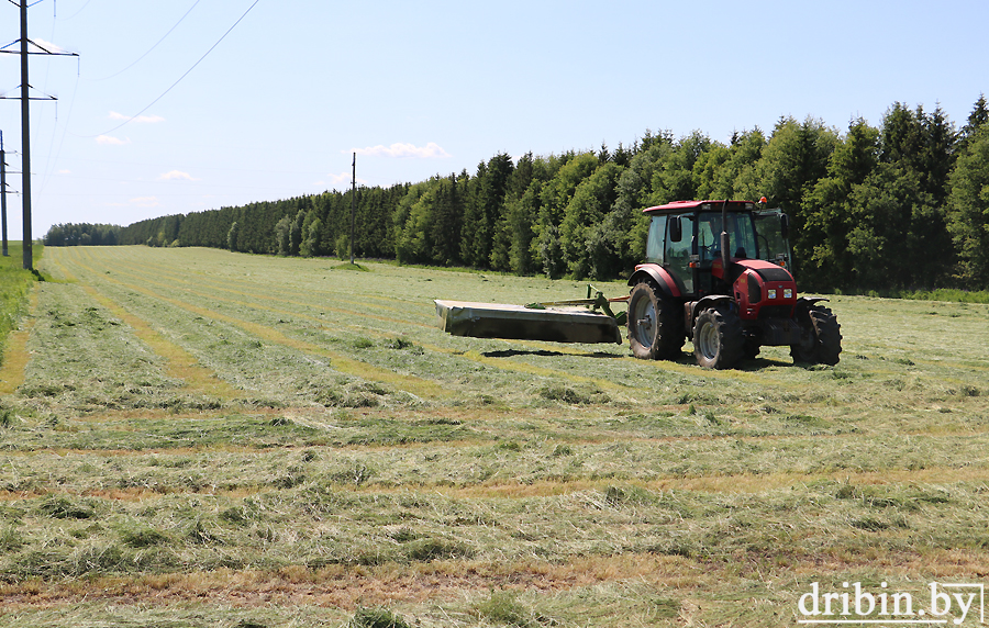 В Дрибинском районе продолжается заготовка кормов