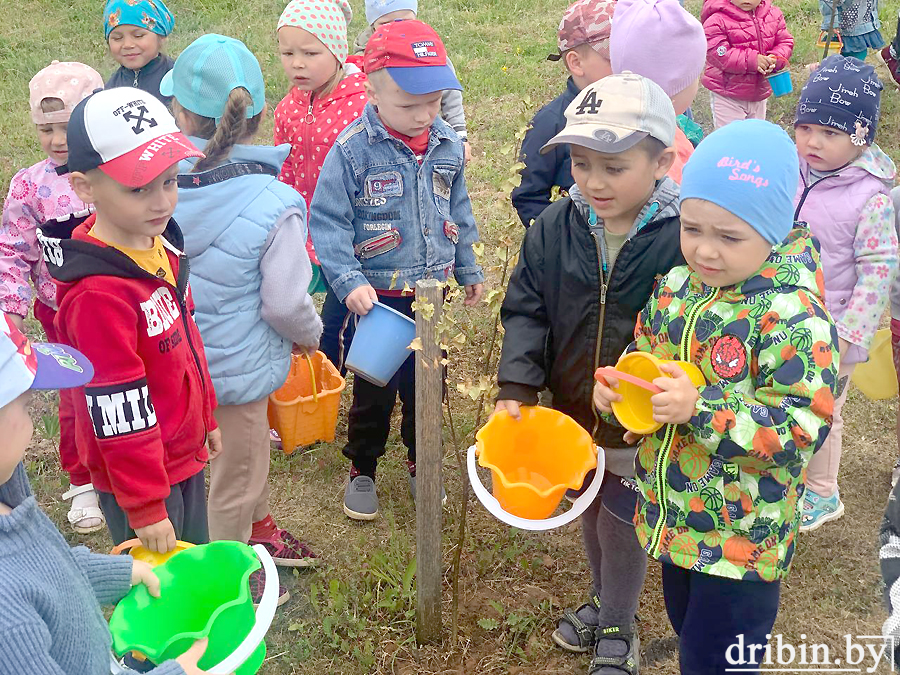 В агрогородке Пудовня активно реализуется проект “Зеленая школа”