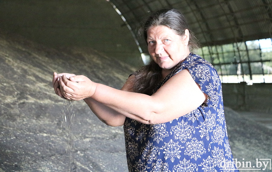 На зерносушильном комплексе ОАО «ЧерневкаАгро» все усилия тружеников направлены на переработку зерна