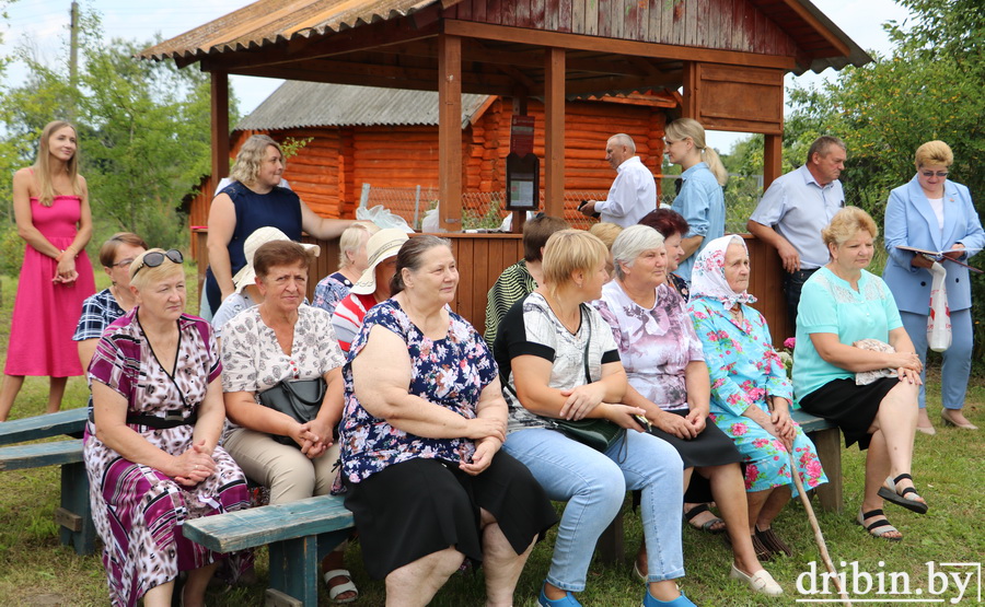 День деревни в Шестаках