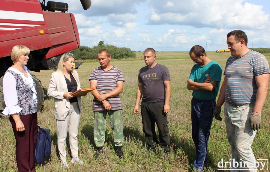 Братья Маркины из ОАО «Дрибинрайагропромтехснаб” намолотили больше тысячи тонн зерна