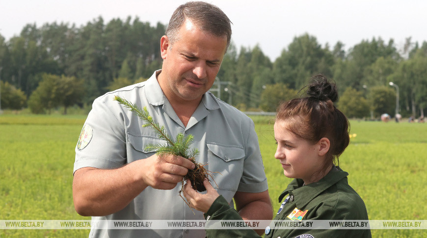 Лукашенко поздравил работников и ветеранов лесного хозяйства и деревообрабатывающей промышленности с профессиональным праздником