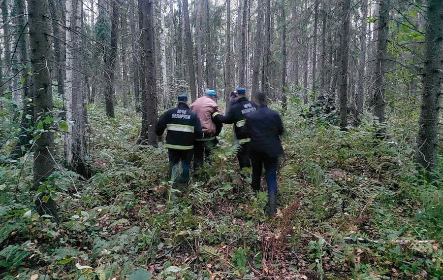За прошедшие сутки три человека заблудились в лесах Могилевской области: всех нашли спасатели