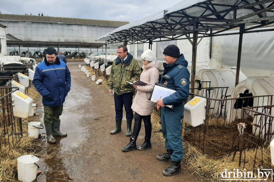 В Дрибинском районе прокуратура, спасатели и ветстанция провели рейд по сельскохозяйственным объектам