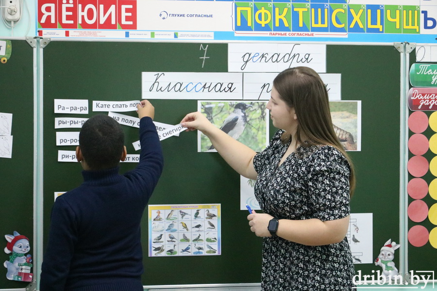 Модель инклюзивного образования успешно развивают в Дрибинской средней школе