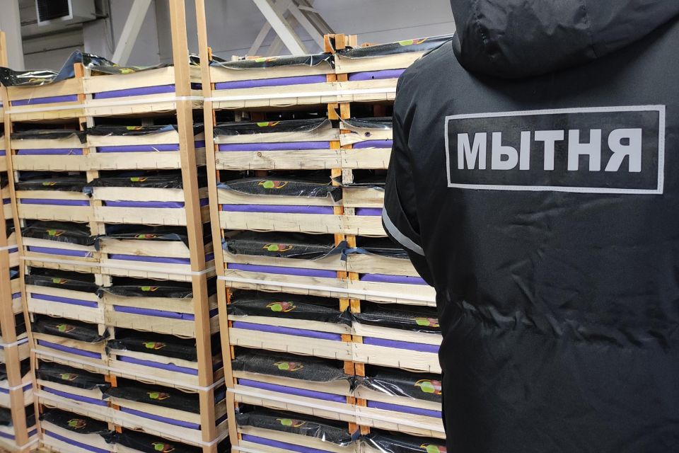 Незаконный вывоз 40 тонн груш из Беларуси в Россию выявили могилевские таможенники