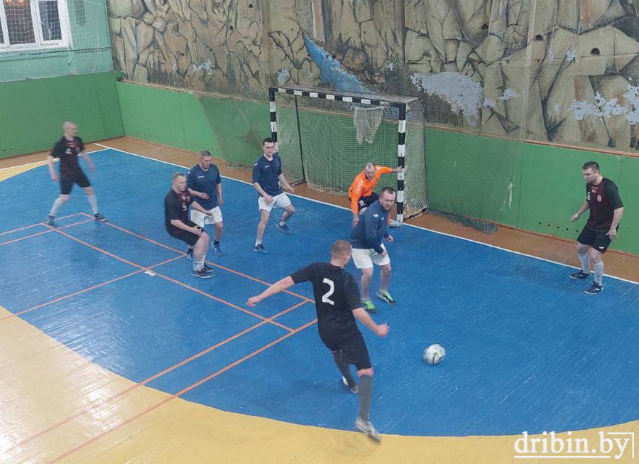 Команда из Дрибина приняла участие в соревнованиях открытого кубка УО БГСХА по мини-футболу