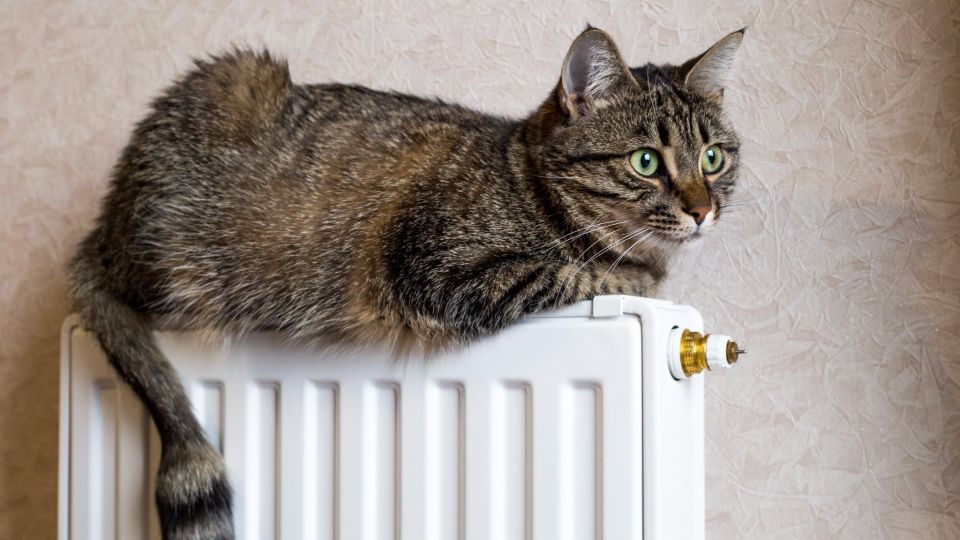 В Могилевской области с 9 апреля начнут отключать отопление в квартирах