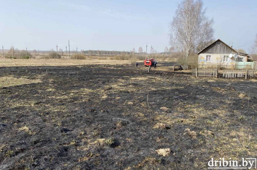 В Дрибине при наведении порядка на приусадебном участке пострадала пенсионерка