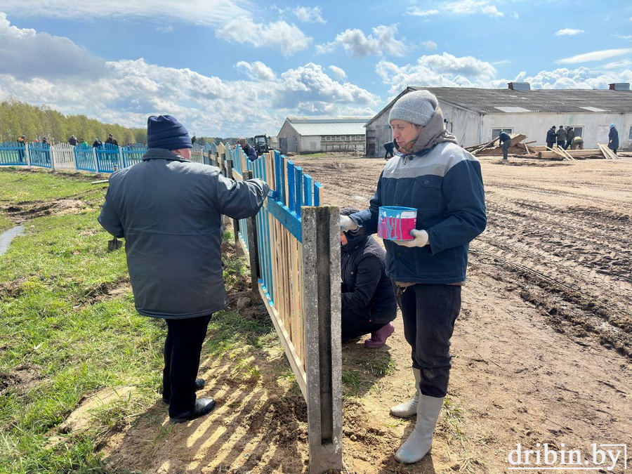 Специалисты управления сельского хозяйства и представители организаций района трудятся на субботнике в ОАО “ЧерневкаАгро”. Фото