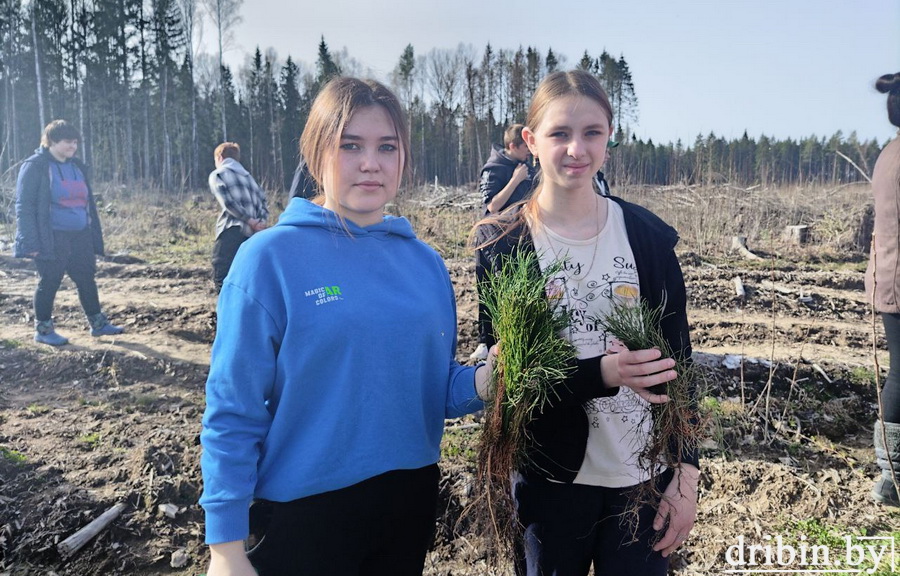 Коровчинская школа принимает участие в конкурсе, организованном в рамках одноименной акции «Аднавiм лясы разам!»