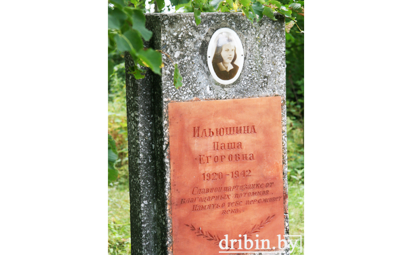 Герои Великой отечественной войны, в честь которых названы улицы в Дрибинском районе: Прасковья Егоровна Ильюшина