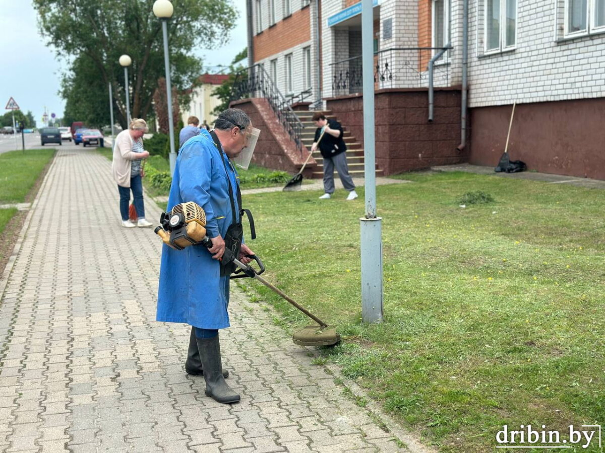 Фотофакт. Коллектив Дрибинского райЦГЭ наводит порядок на территории учреждения