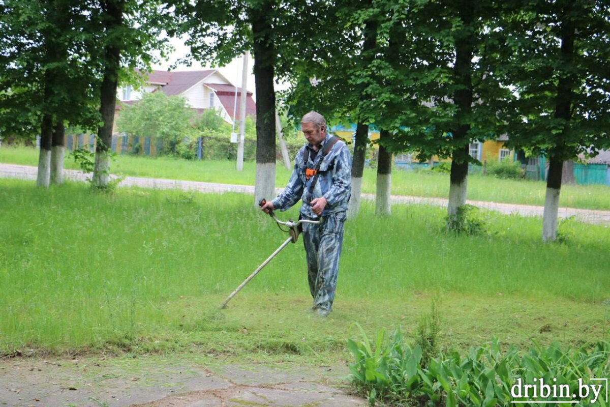 Фотофакт: профсоюз работников АПК навел порядок на территории памятного знака воинам-освободителям в Дрибине
