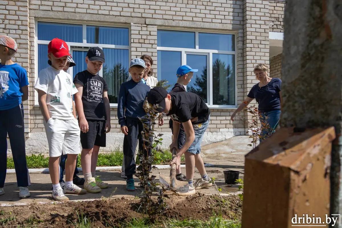 Территория Пудовнянской средней школы Дрибинского района имеет свое лицо