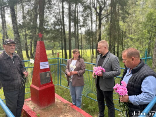 В деревне Городецк Михеевского сельсовета почтили память погибшего летчика Анатолия Кобеца