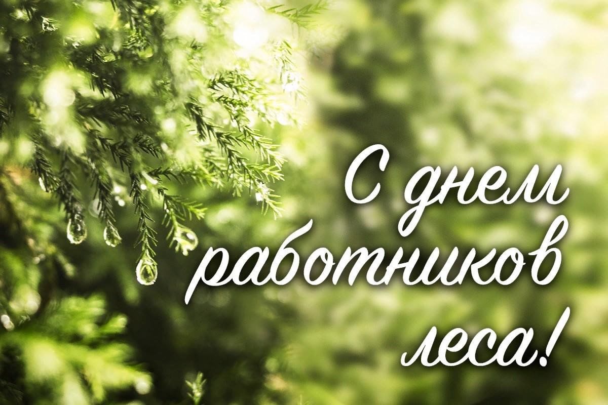 Руководство района поздравляет работников лесного хозяйства с профессиональным праздником!