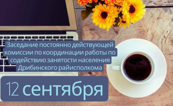 12 сентября состоится заседание постоянно действующей комиссии