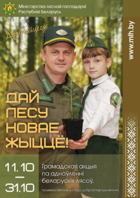 На территории Дрибинского района пройдет традиционная акция «Дай лесу новае жыццё!»