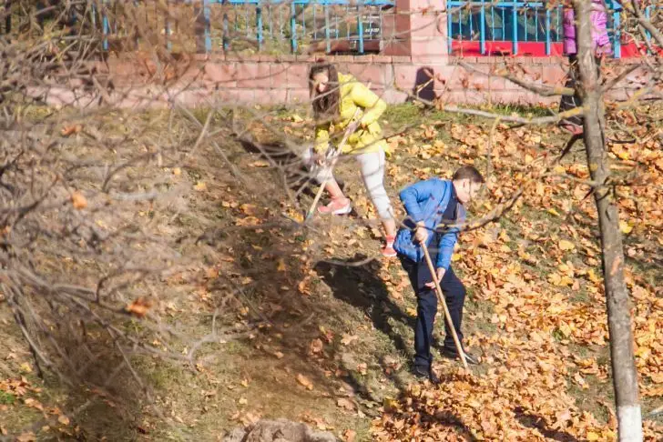 Совсем скоро. В Беларуси грядет республиканский субботник