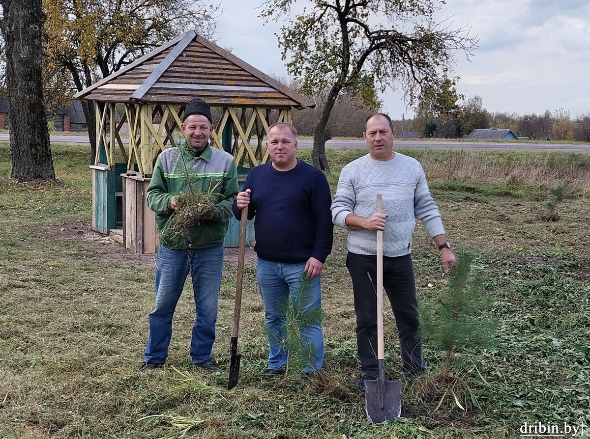 В Дрибинском районе прошел единый день озеленения