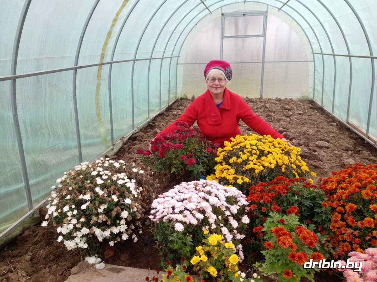 О ноябрьских работах в палисаднике рассказывает цветовод из Черневки Людмила Каплунова