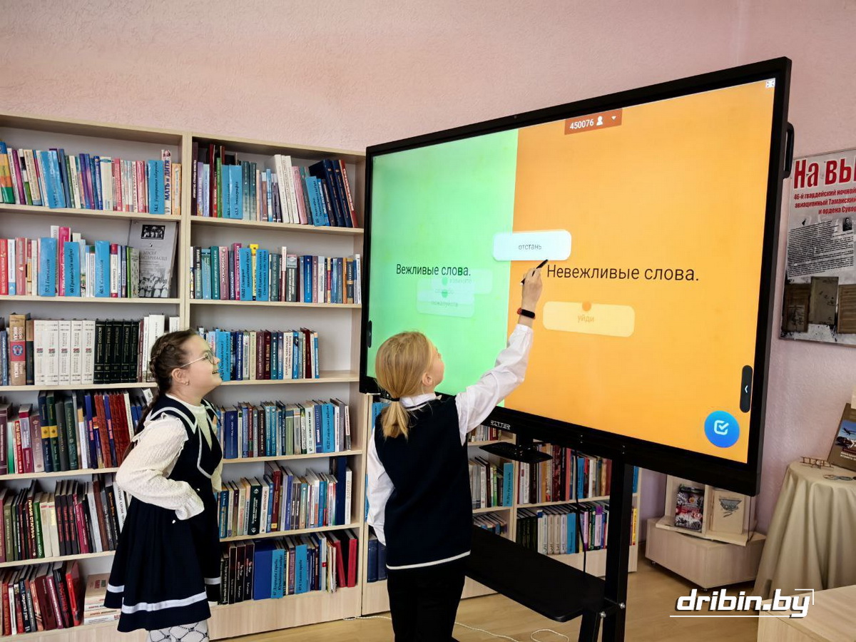 В Дрибинской центральной районной библиотеке прошел День вежливости