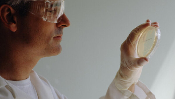 Туляремия: симптомы, переносчики, профилактика