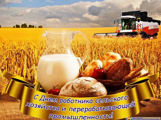 Владимир Павловский поздравляет с Днем работников сельского хозяйства и перерабатывающей промышленности АПК